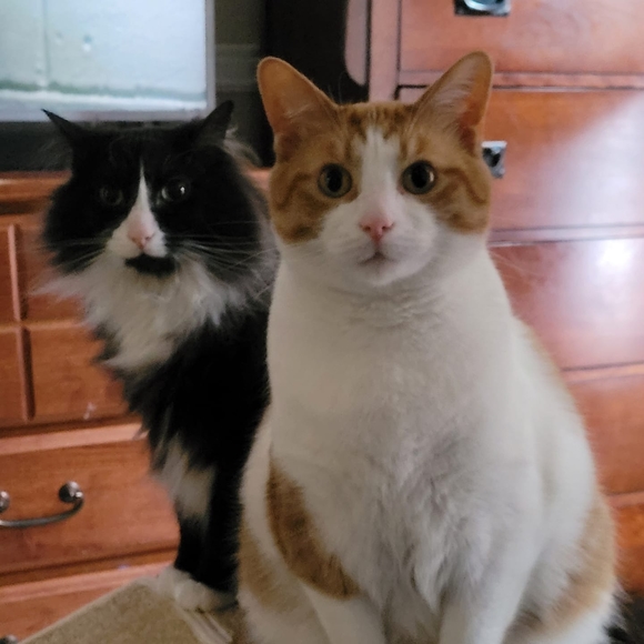 Meet your Posher, Brooke - Picture 1 of 1